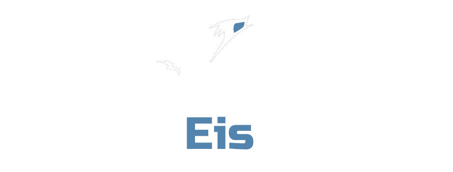 Logo TrockenEisZeit.com